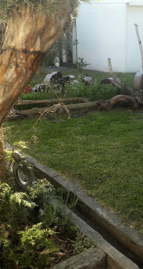 Hermanus Flower Houseヴィラ エクステリア 写真